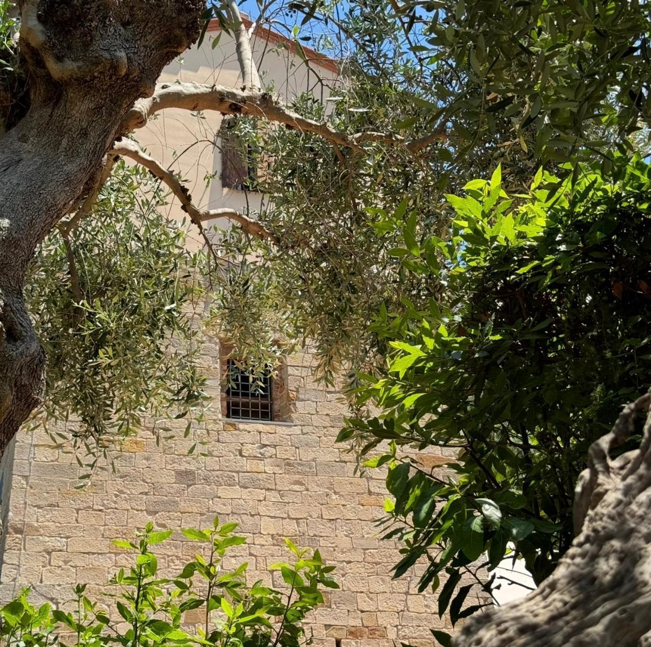 Madonna Del Poggio Cav Aparthotel สการ์ลีโน ภายนอก รูปภาพ