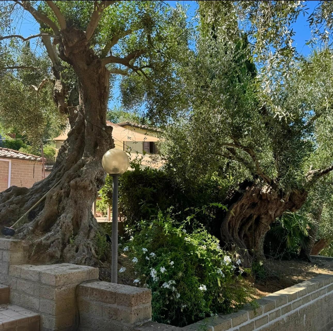 Madonna Del Poggio Cav Aparthotel สการ์ลีโน ภายนอก รูปภาพ