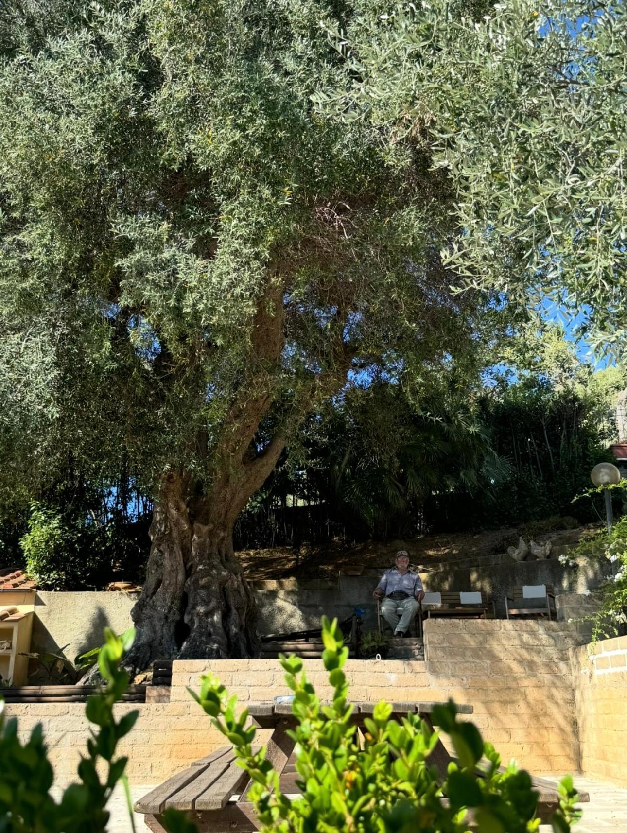 Madonna Del Poggio Cav Aparthotel สการ์ลีโน ภายนอก รูปภาพ
