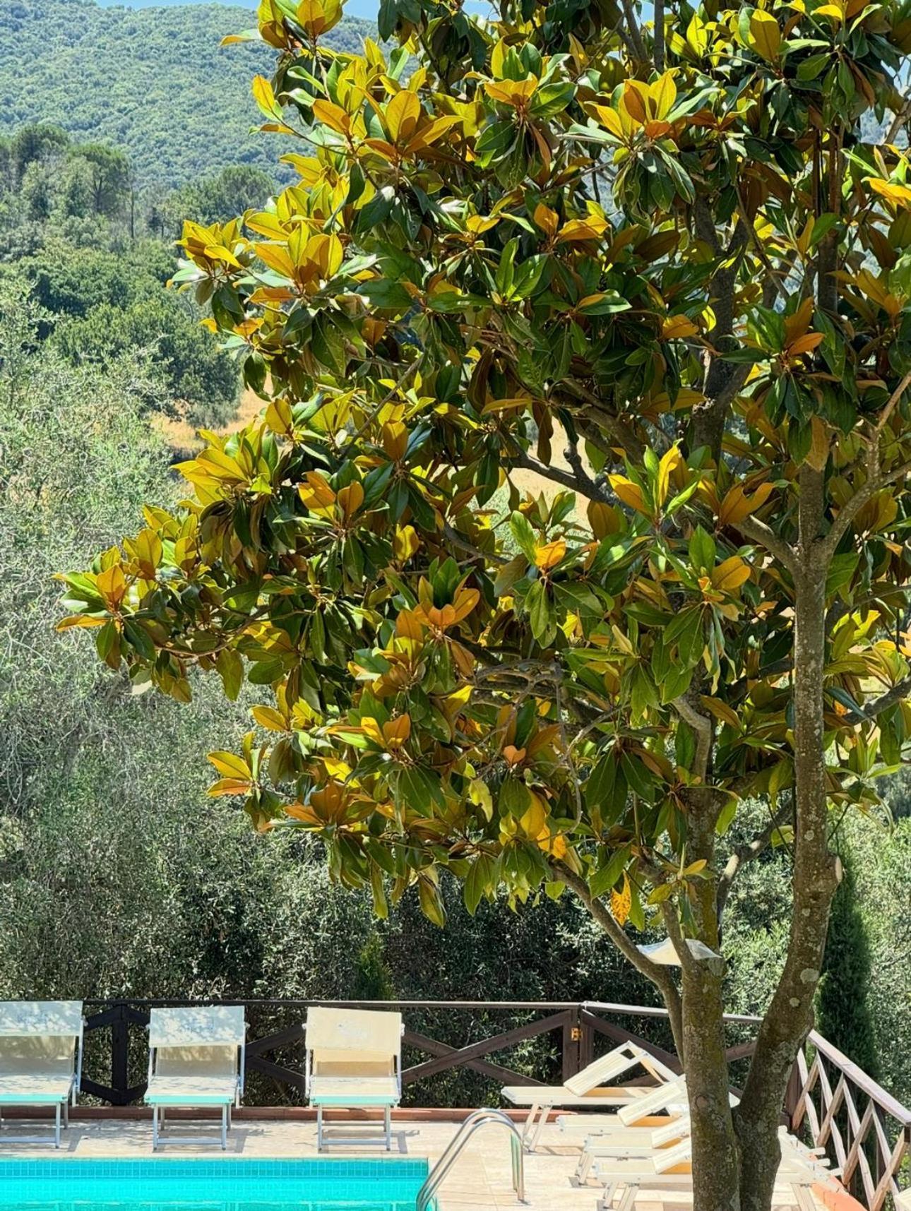 Madonna Del Poggio Cav Aparthotel สการ์ลีโน ภายนอก รูปภาพ